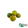 Limão Galego Orgânico (500g)