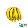 Banana D'água Orgânica (1kg)