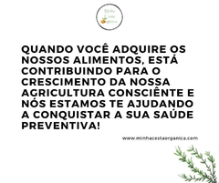 Ora-Pro-Nobis Orgânica (Maço) - comprar online