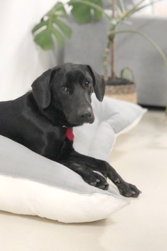 PUPPY BED Tussor (100x70) - comprar online
