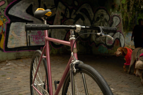 Classic Series - Track (talle 54).