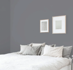 Wallpaper Liso Gris 2333-6 - comprar online