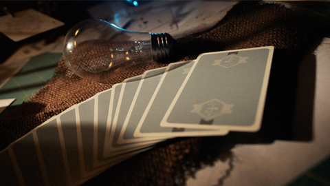 Baraja Fox Targets Playing Cards