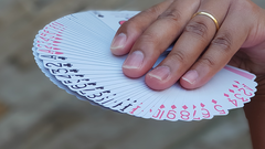 Baraja Oink Oink Playing Cards en internet