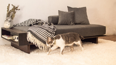Sillón URUZ 2 cuerpos - Deko Living