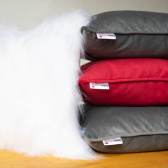 Almohadones pack x 4 en internet