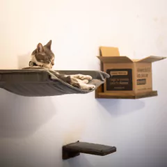 GIMNASIO TREPADOR PARA GATOS - Deko Living
