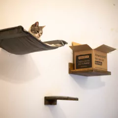 GIMNASIO TREPADOR PARA GATOS en internet