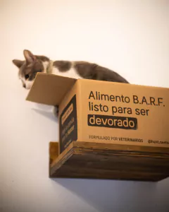Imagen de GIMNASIO TREPADOR PARA GATOS