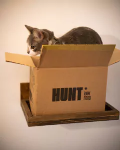 GIMNASIO TREPADOR PARA GATOS