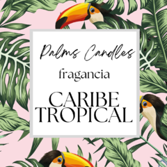CARIBE TROPICAL en internet