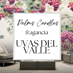 AGUA VIDRIO UVAS DEL VALLE