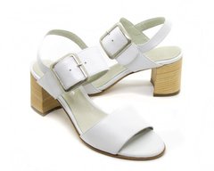 FRANCIS - tienda online