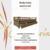 DIVAN CAMA MODELO TAFÍ - comprar online