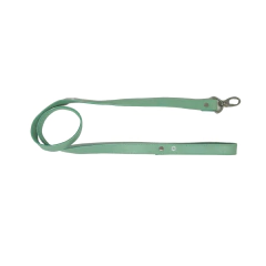 COLEIRA MENDONZA - VERDE - loja online