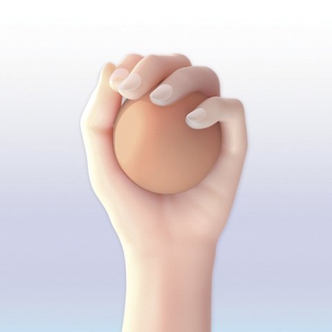 Esfera de rehabilitación - comprar online