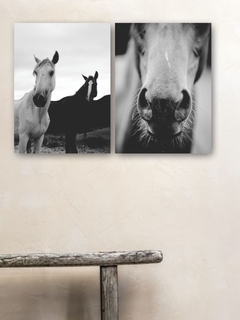 CABALLOS