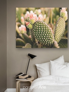 CACTUS FLORECIDO