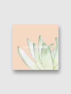 SET CACTUS SALMON X 2 - comprar online