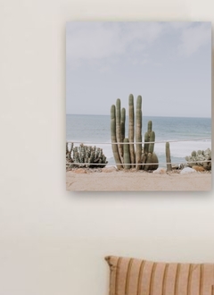 CACTUS - comprar online