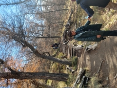 TREKKING EN CHALTEN DESDE CALAFATE : 04 DIAS , 03 NOCHES (Opera a partir de OCTUBRE 2023) - Aventura-Andina