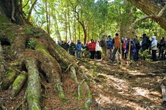 COMBO : NAVEGACION MAYO SPIRIT TREK y ESTANCIA 25 DE MAYO a partir de octubre 2023 en internet