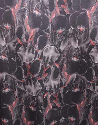 Camisa Twilight - tienda online