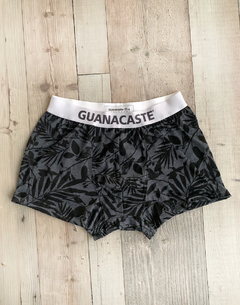 Boxer Grey