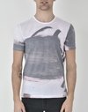 Remera Totemic