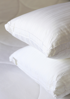 Almohada VELVETINE EUROLUX 50x90cm sensación duvet - comprar online