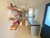 Venta casa minimalista de 4 ambientes con piscina. Barrio Los Talas. Partido de Ezeiza. - comprar online