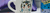 Banner de la categoría MAGICAL FRIENDS 