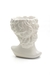 Macetero-Adorno- Florero- Escultura Jupiter - tienda online