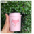 Vaso Térmico Miss Fox (x4) - acabajo