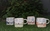 Mini Van Taza Café/Mate Verde en internet