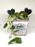 Maceta Vintage Zinc (con señalador de plantas)