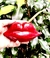 Mate/Lapicero *Beso* - tienda online