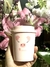 Vaso Térmico Chanchita (x4)