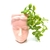 Mate-Lapicero-Florero Venus - acabajo