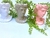 Imagen de Macetero-Adorno- Florero- Escultura Jupiter