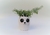 Mate Panda con forma - tienda online