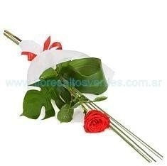 Ramo de una rosa