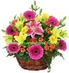 Arreglo en canasta con flores varias