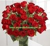 Florero con rosas en internet