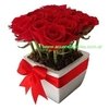 Arreglo de rosas en maceta
