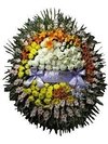 Corona variada