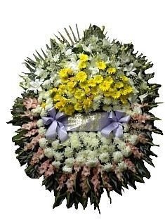 Corona variada