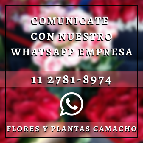 Imagen del carrusel Acuarelleflores