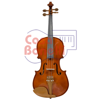 Viola Ancona LG104
