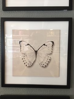 Cuadro Mariposa 2